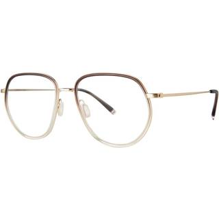 Paradigm Sunny Brunstone 55 Briller Mænd Brun - Transparent Gradient Brown - 55mm