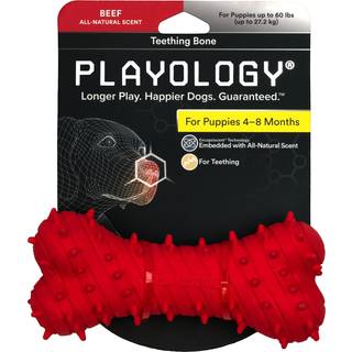Playology Puppy Tandething Bone Dog Legetøj til Young & Active Dogs | Engager helt naturlig oksekød duftende jumbo-størrelse tyggelegetøj med squ