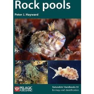 Rock pools