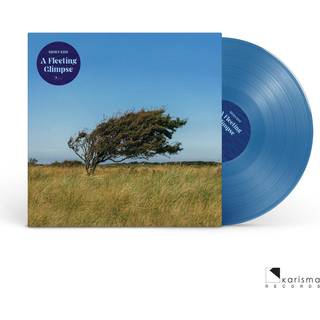 Bjorn Riis - A Fleeting Glimpse (Blue Vinyl)