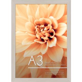 AmericanFlat A3 -billedramme i let træ - konstrueret træ med knust -resistent glas - vandrette og lodrette formater til væg - 11,7 x 16,5 i