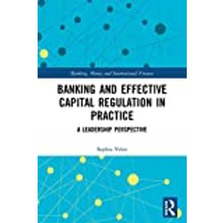 Banking and Effective Capital Regulation in Practice