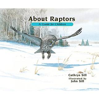 About Raptors