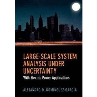 Large-Scale System Analysis Under Uncertainty
