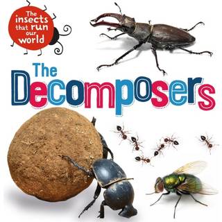 The Insects that Run Our World: The Decomposers