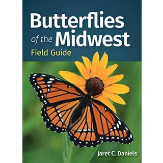 Butterflies of the Midwest Field Guide