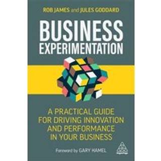 Business Experimentation