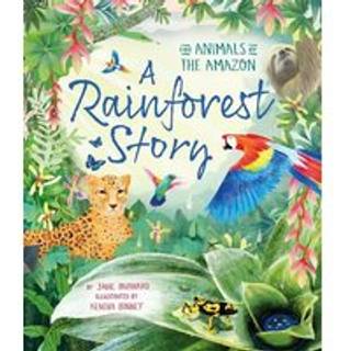 A Rainforest Story