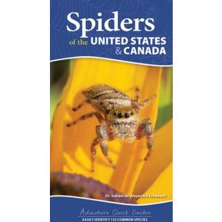 Spiders of the United States