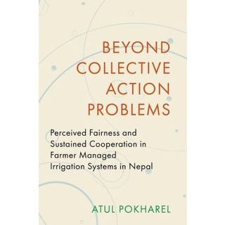 Beyond Collective Action Problems