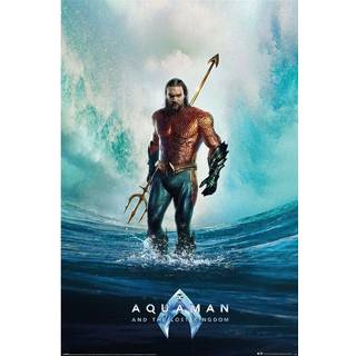 AQUAMAN AND THE LOST KINGDOM - Tempest - Poster 61 x 91cm
