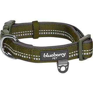 Blueberry Pet Soft & Safe 3M Reflekterende neopren polstret justerbar hundekrave - Olivengrøn pastelfarve lille hals 12 """" - 16 """"