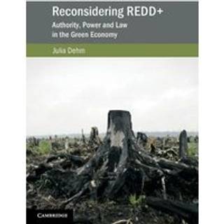 Reconsidering REDD+