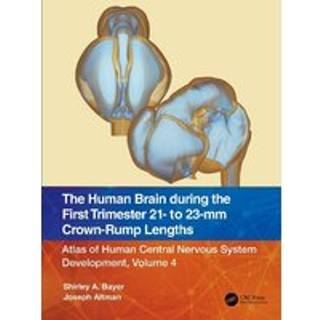 The Human Brain during the First Trimester 21- to 23-mm Crown-Rump Lengths