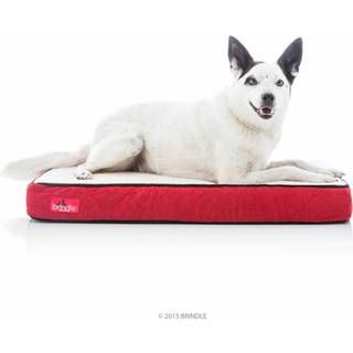 Brindle vandt?t designer hukommelse skum k?ledyr seng-aftagelig maskine vaskbar cover-4 tommer ortop?disk k?ledyrs sengelindring r?d sherpa