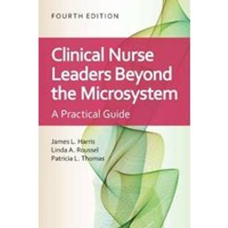 Clinical Nurse Leaders Beyond the Microsystem