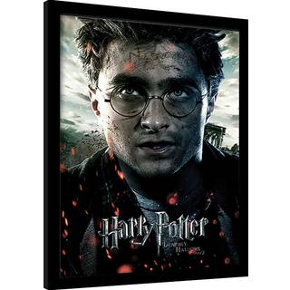 HARRY POTTER - Deathly Hollows Part 2 "Harry"- Collector Print 30x40cm