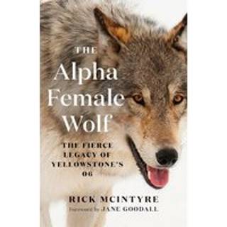 The Alpha Female Wolf