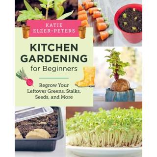 Kitchen Gardening for Beginners