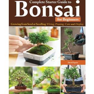 Complete Starter Guide to Bonsai