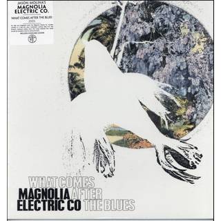 Magnolia Electric Co. - What Comes After the Blues