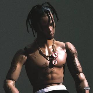 Travis Scott - Rodeo (2 LP)