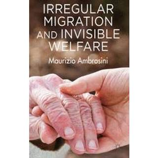 Irregular Migration and Invisible Welfare