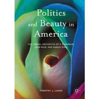 Politics and Beauty in America