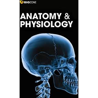 Anatomy and Physiology
