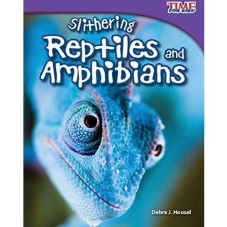 Slithering Reptiles and Amphibians