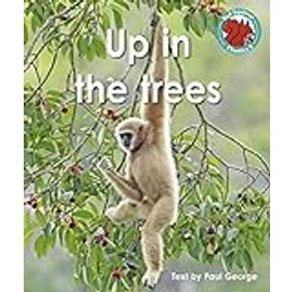 Up in the trees
