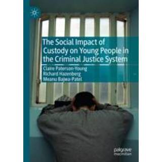 The Social Impact of Custody on Young People in the Criminal Justice System
