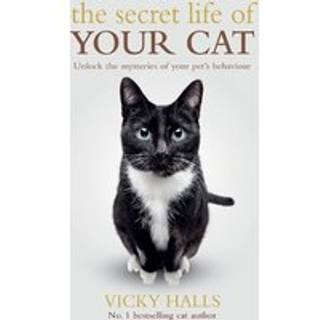 The Secret Life Of Your Cat