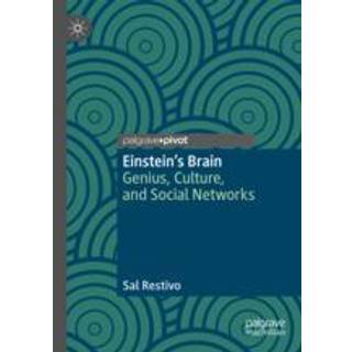 Einstein’s Brain