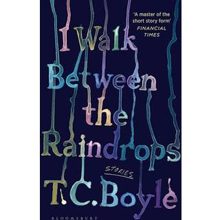 I Walk Between the Raindrops