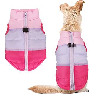 Idepet Pet Dog Cat Coat med snor Anker Color Patchwork Padded Puppy Vest Jacket Teddy Chihuahua kostumer Pug Cloth Xs S M L (Small Rose Red)