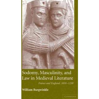 Sodomy, Masculinity and Law in Medieval Literature