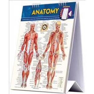 Anatomy Easel Book: A Quickstudy Reference Tool