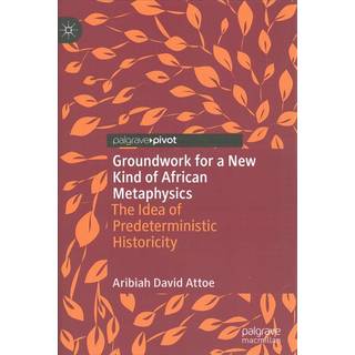 Groundwork for a New Kind of African Metaphysics