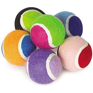 Zanies mini tennisbolde til hunde 6-pack sm? racer