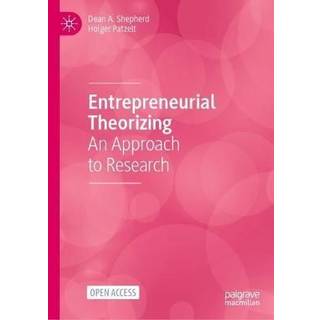 Entrepreneurial Theorizing