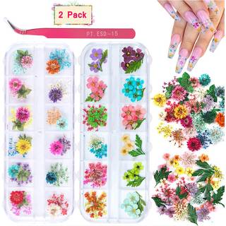 2 kasser t?rrede blomster til neglekunst kissbuty 24 farver t?r blomster mini ?gte naturlige blomster neglekunst forsyninger 3d applikation negle