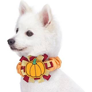Blueberry Pet Thanksgiving Fall Charm Pumpkin Dog Collar Cover Festive tilbehør til små til store hundekraver Perfekt til hundeelskere og familie