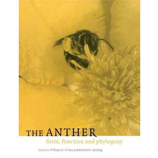 The Anther