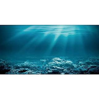 AWERT 48X24 inches unders?isk tema akvarium baggrund solskin undervands verden fisk tank baggrund vinyl