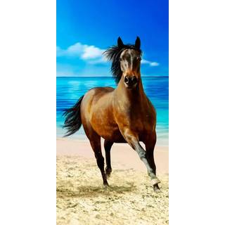 Heste håndklæde - 70x140 cm - 100% bomuld - Blødt badehåndklæde med en hest på stranden