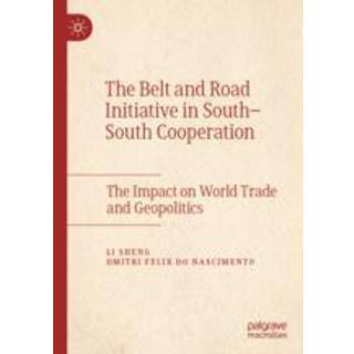 The Belt and Road Initiative in South–South Cooperation