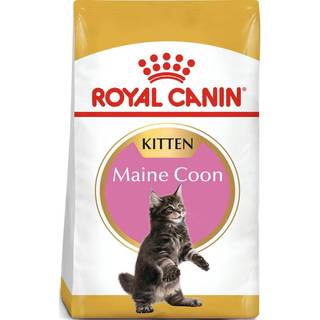 Royal Canin Maine Coon Kitten tørfoder til killing 4 kg