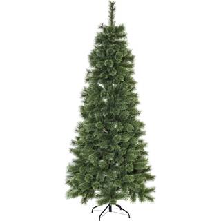 Star Trading - Cembrini 210cm - Juletræ