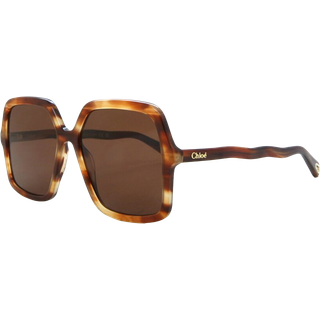 Chloé CH0086S 005 58 Solbriller Kvinder Tortoiseshell - Tortoise - 58mm